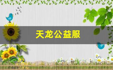 天龙公益服(天龙八部公益服发布网电脑版) (2)