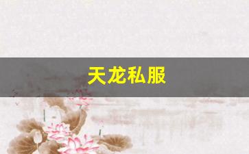 天龙私服(天龙手游官网) (3)