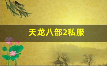 天龙发布网：天龙八部2私服 (8)