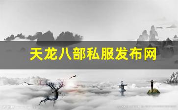 天龙八部私服发布网(天龙八部官网) (7)