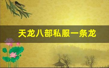 天龙八部私服一条龙(天龙八部怀旧服一条龙) (7)