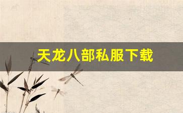 天龙八部私服下载(天龙手游私sf下载) (9)