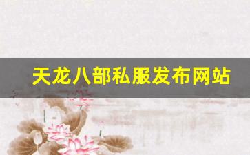 天龙八部私服发布网站 (16)