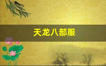 天龙八部服(天龙八部服务端下载) (2)