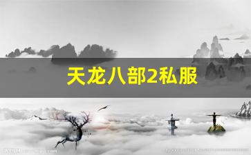 新天龙sf：天龙八部2私服 (15)