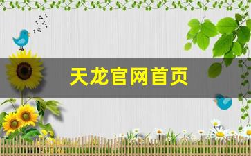 天龙官网首页(怀旧天龙官网首页) (4)